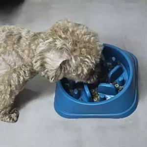 강아지 급체방지 밥그릇 다크컬러