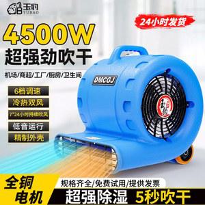 제습선풍기 카펫 블로우 흡습발열 컨트롤 화장실 BJ250 인버터 업소용 제습