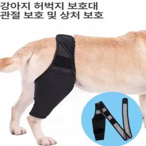 강아지슬개골보호대 강아지용품 노견용 보조기