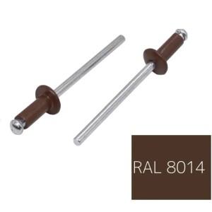 50피스 RAL8014 페인트 블라인드 리벳 팝 헤드  알루미늄 스틸 홈 장식 패스너 하드웨어 Rebite Dia 5/32