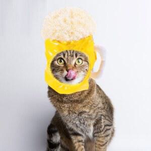 강아지 고양이 맥주 코스프레 모양 장식 머리 할로윈 모자 재밌는 귀여운 따뜻한