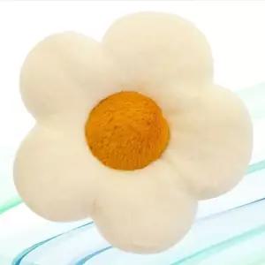 꽃모양 방석 쿠션 소형 쇼파 카페 인테리어 소품 (WFKBLPG)