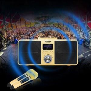 SDRD SD309 가정용 노래방 서브 서브우퍼 노래방기계 야외 에스디알디SDRD 휴대용