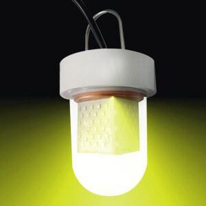 방수 갈치 조명 백광등 민물낚시 도구 낚시 몰락 수중 갑오징어 집어등 120W 와이어