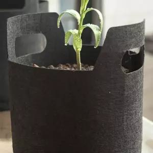 홈가든 부직포 화분 5p세트(25x22cm) (블랙) 가드닝용품 가드 베란다 아파트텃밭 블루베리 25X22CM 화단꾸