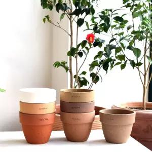 테라원 팽이 D15 15x13cm (랜덤컬러) 화분만화분 장식용 인테리어 꽃화분 식물 단품 작은 소형 미니 심플