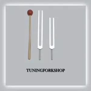 TFS 튜닝포크샵 C G 전신 튜닝포크 세트 망치+파우치 포함