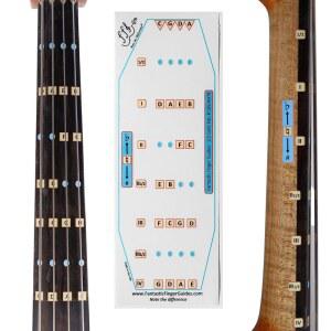 첼로를 위한 환상적인 핑거 가이드 - 현악기를 음악 액세서리, 모든 음을 배우기 핑거보드 및 프렛보드 스티커, 첼로 연주 배우기, 1/2 크기