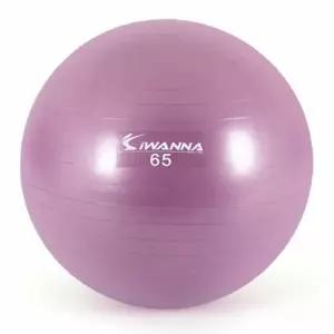 아이워너 안티버스트 짐볼 65cm 라일락 1P 근력 홈트