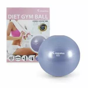 라벤다블루체육공 65cm폼볼 운동볼 안티버스트짐볼 테스