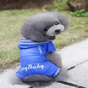 강아지 레인코트 애견겨울옷 강아지가을옷 강아지겨울옷 겨울옷 라니안옷 애견 강아지 가을옷 포메 소형견