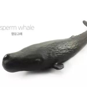 소프트 리얼 향유 고래 모형 어린이집 교육용 역할 놀이 바다 생물 동물 어류 물고기 미니어쳐 관찰 교구