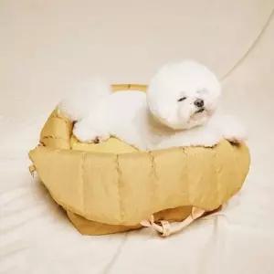 소형견 파스텔톤 이동가방 사용가능 카시트 U137294