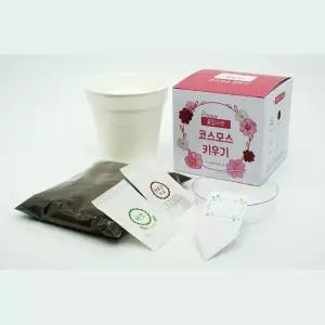 요양원 노인정 어르신 식물키우기 씨앗DIY 샐비어키우기 식물키트 모종심기