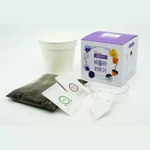 어린이식물DIY 유아식물키우기키트 비올라키우기 관찰일지 감수성발달