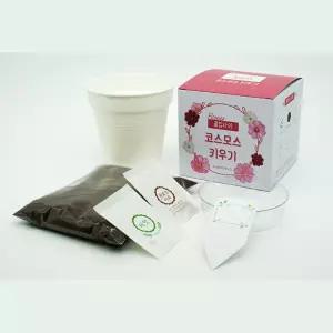 어린이식물키우기 유치원 초등학교 어린이꽃DIY 코스모스키우기 생물실험