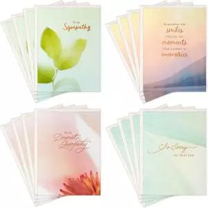 홀마크 공감 카드 모음 자연(봉투가 있는 16장의 카드)
