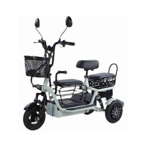 전기세발자전거 접이식 성인용 3륜 Tomofr 전지 소형 48V12A 라이딩 펫바이크