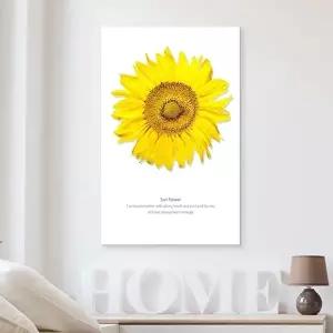 노랑 해바라기 액자 35x55cm (KYR-WA65068)