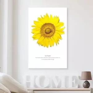 노랑 해바라기 액자 35x55cm (KYR-WA65068)