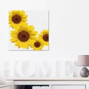 그림 해바라기B 액자 25x25cm (KYR-WA65076)