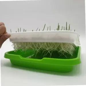 씨앗 재배기 새싹 식물 키우기 트레이 홈가드닝