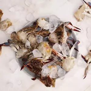 [오늘신선] 서해안 태안 신진도 산지직송 냉동 절단 꽃게 1kg 15쪽 내외 (암수랜덤)