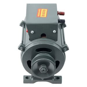 고출력 소형 도르래 타입 영구 자석 조명 발전기 벨트 디젤 엔진 구리선, 220V, 3500W,