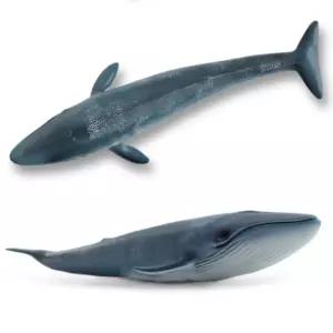소프트 리얼 흰수염 고래 모형 어린이집 교육용 역할 놀이 바다 생물 동물 어류 물고기 미니어쳐 관찰 교구