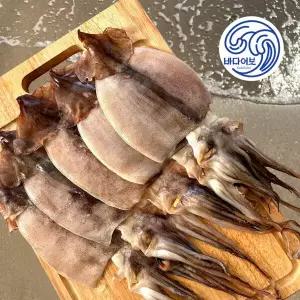 국산 반건조오징어(중) 1.2kg / 동해안 반건오징어