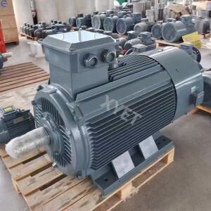 30KW 영구 자석 발전기 220V 380V 400V 300RPM 구동 모터가있는 고출력 조용한 100000W