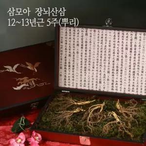[삼모아] 산양산삼 12-13년근 5뿌리(VIP선물세트) 고가구목함/실크보자기