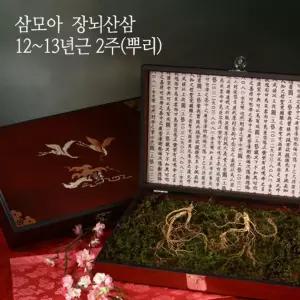 [삼모아] 산양산삼 12-13년근 2뿌리(VIP선물세트)/고가구목함+실크보자기