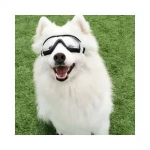 루미나D 강아지 대형 중형 고글 애견 선글라스 안경 도글스