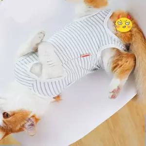 켈리몰 강아지 고양이 스프라이트 중성화복 수술복