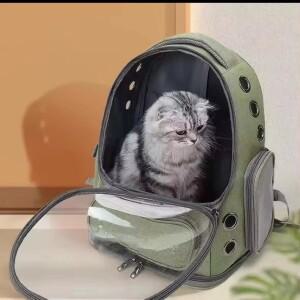 고양이 배낭 강아지 애완동물 이동 가방 투명 우주선 야외