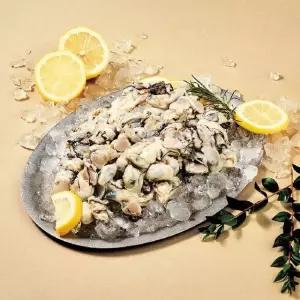 산지직송 통영 생굴 1kg