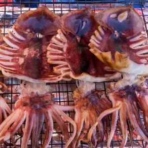 촉촉한 피데기 반건조 오징어 5마리 (중대/650g)