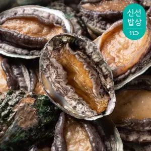 [대한민국농수산] 100% 살아서 도착하는 진도 활전복 1kg(10미)