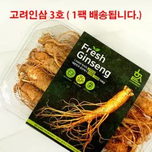 인삼 금산 수삼 삼 사포닌 6년근 5년근 인삼 선물세트