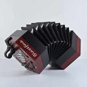 BLAZEFINE 영어 콘서트 운반 가방 포함 당기기 밀기에 동일한 노트 성인 초등 육각 아코디언 연주