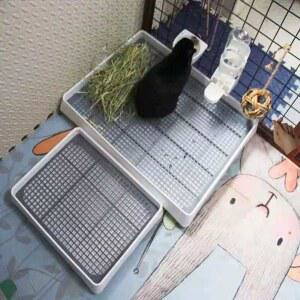 대형 토끼화장실 기니피그 배변판 케 소동물 사각 배변