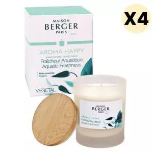 메종베르제 해피 소이캔들 집들이 이사 생일 선물 X4