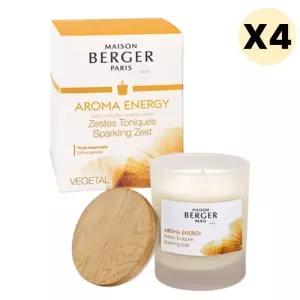 메종베르제 에너지 소이캔들 향초 홈데코 선물 X4