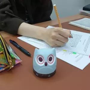 고품질 아날로그 태엽 쿠킹 타이머 부엉이 타이머 태엽타이머 쿠킹타이머 주방타이머 WFIQGHQ