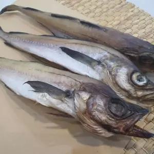 명태 코다리 1미