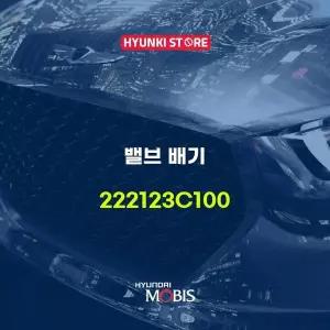 [현대모비스]밸브 배기 (222123C100) 현대모비스부품몰