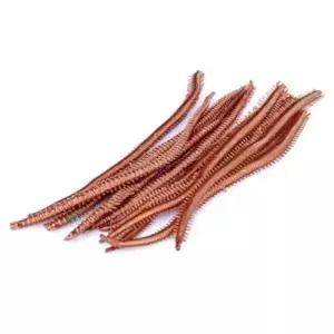 밑밥 떡밥 웜 미끼 낚시 지렁이 가짜 갯지렁이 WDBAD3E