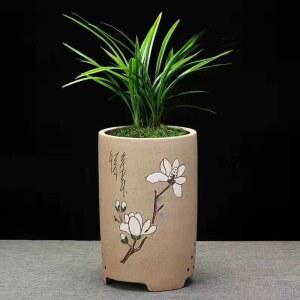 꾸미기 선물 난초화분 난화 난초 공기정화 동양화 화분 서양난