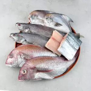 반건조 생선 세트 7마리 구성 (민어 2미 참돔 2미 병어 2미 삼치 1토막)